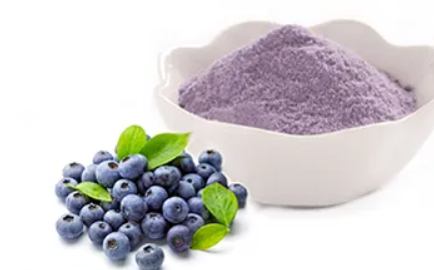 Blueberry Powder 1 KG - Image 2