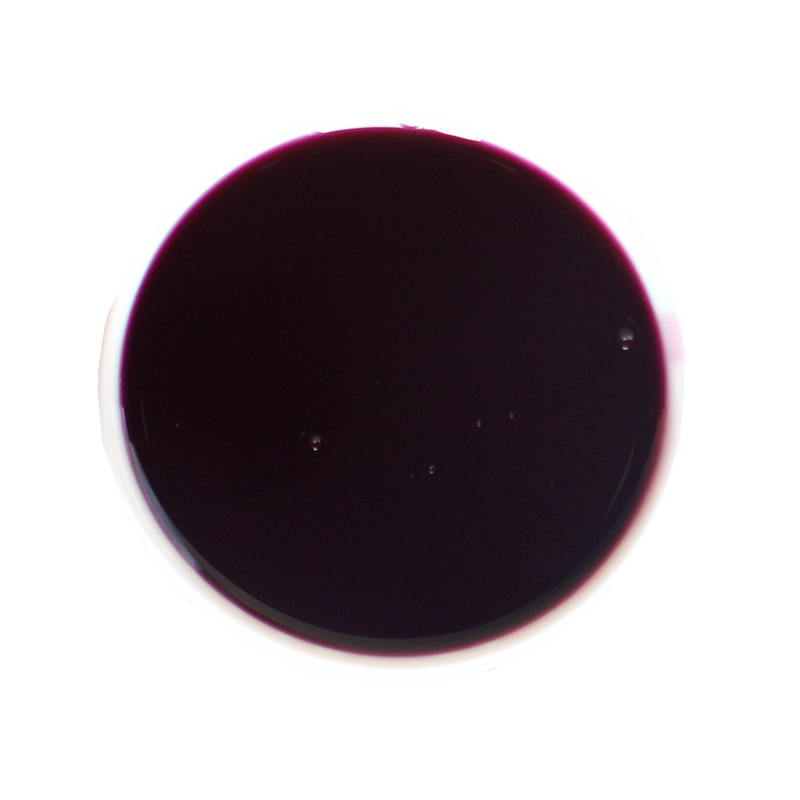Blueberry Syrup 1.9L - Image 3