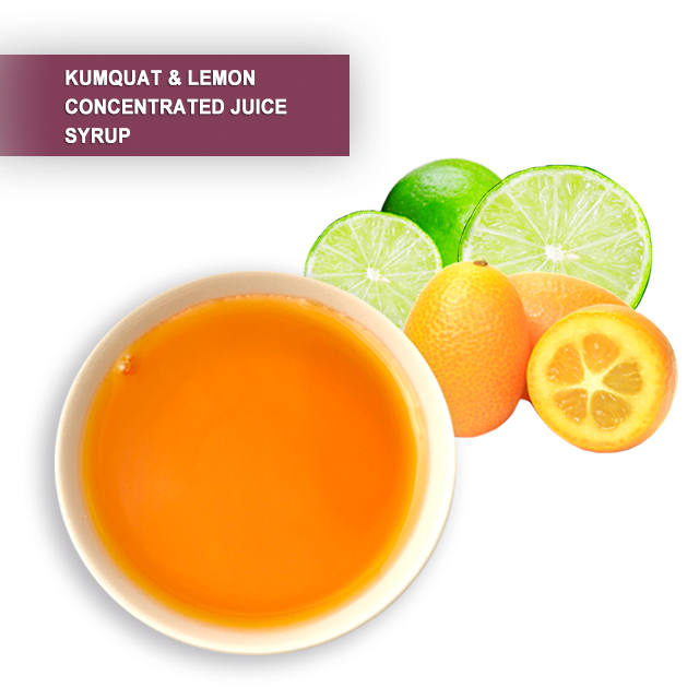 Kumquat Lemon Syrup 1.9 L - Image 2